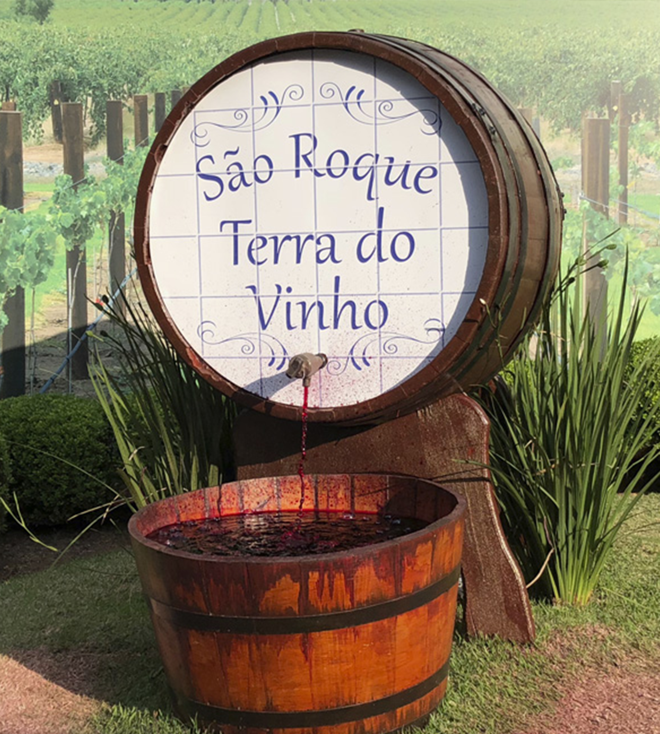São Roque  São Paulo